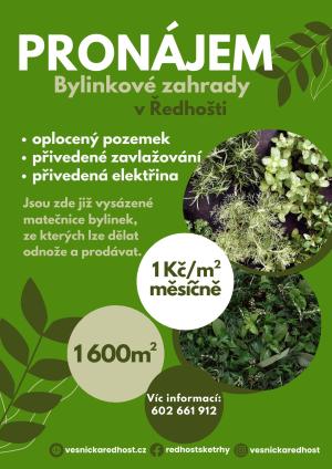 bylinková zahrádka